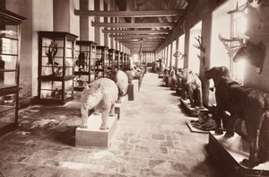 Národní muzeum v Bangkoku, kolem roku 1890